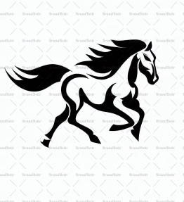 Galoppierendes Pferd